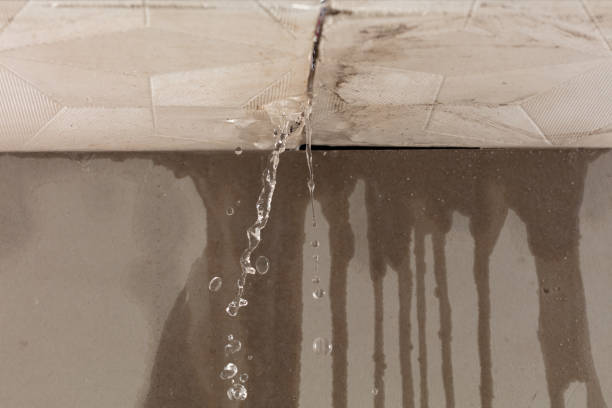 Professional Structural Drying technician working in New Virginia, IA